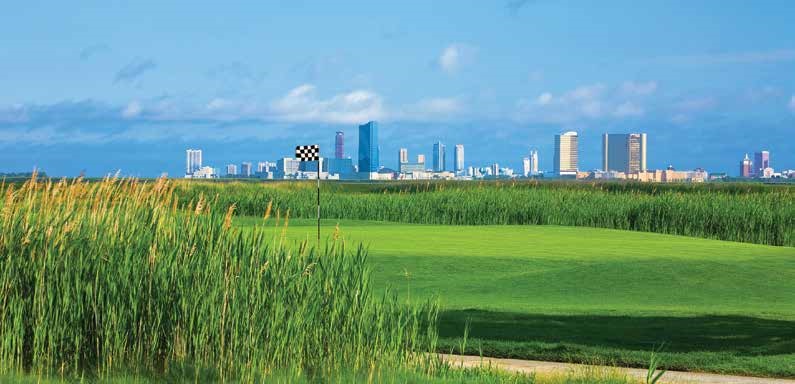 Seaview Hotel and Golf Club view of green with willows and city skyscrapers in background