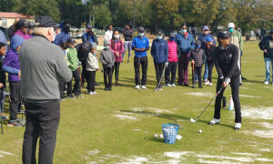 Brentwood GC Clinic